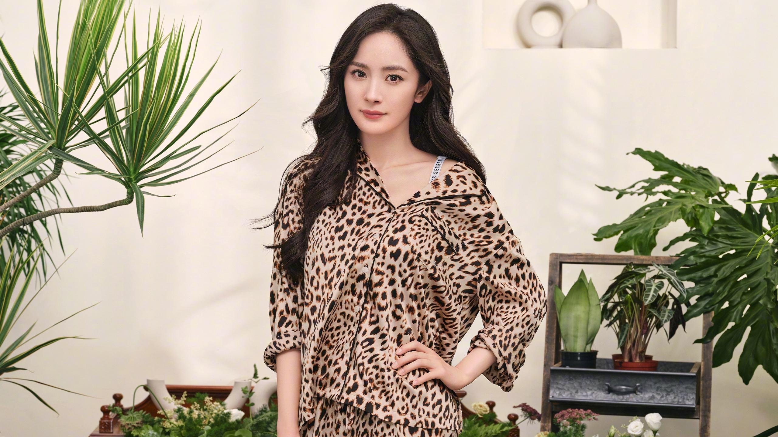 红牛内战硝烟起,梅赛德斯趁势崛起,维斯塔潘绝尘而去