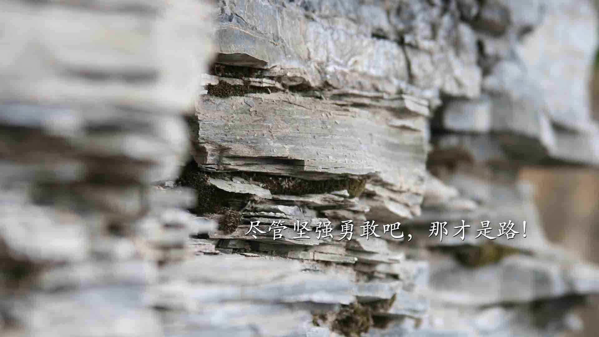 哈斯斩落红牛二队！汉密尔顿的僚机一击如何改写F1底层秩序？