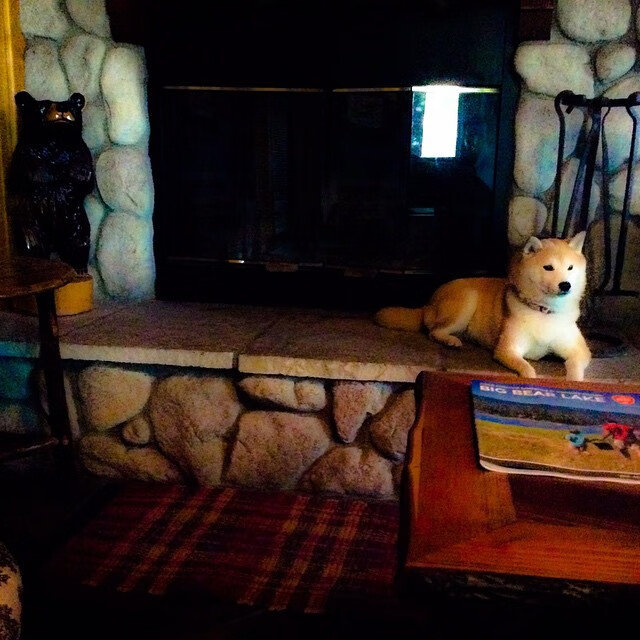 库里50分惊天神迹难救主,鹈鹕加时鏖战力克上海队