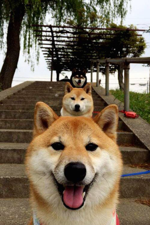 当铁血波兰撞碎太极盾牌，奥恰洛夫的火热状态与一场战术完胜