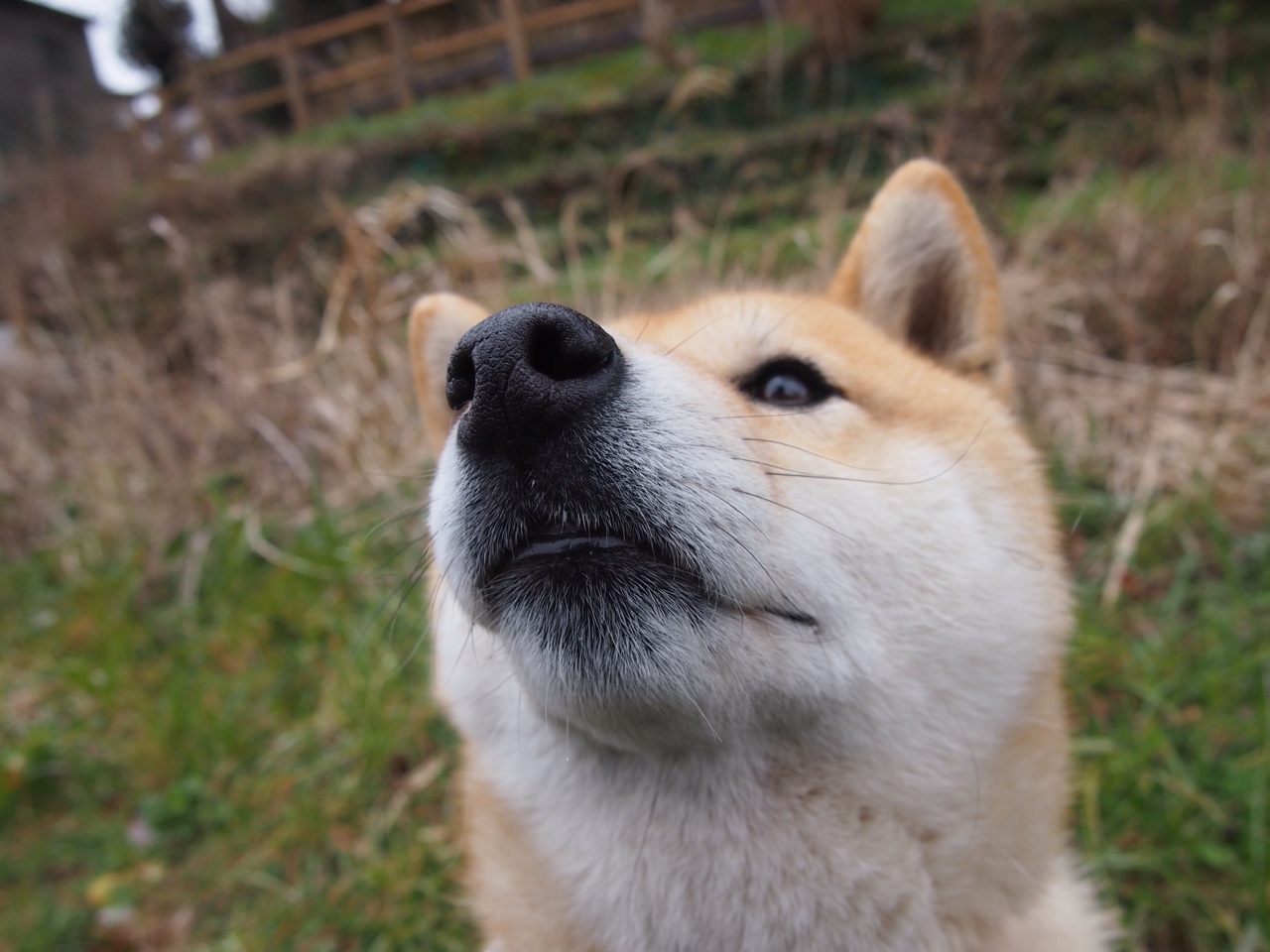 平行世界的碰撞,莫兰特降临CBA率吉林大胜山西