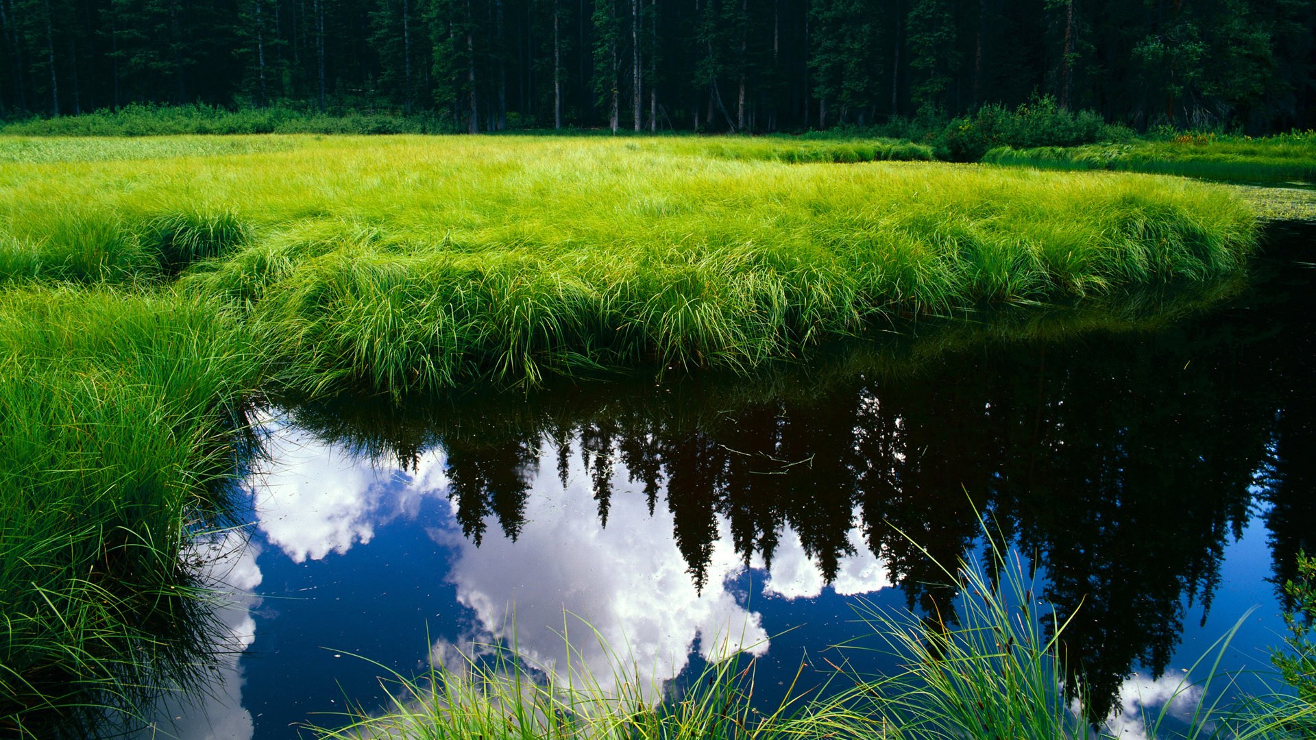 时光对决，利拉德机芯永不卡顿，开拓者时序压制吉林老钟