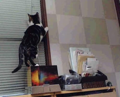 高原之巅!德罗赞38分撕裂绿衫军防线,掘金用团队篮球碾压夺冠热门