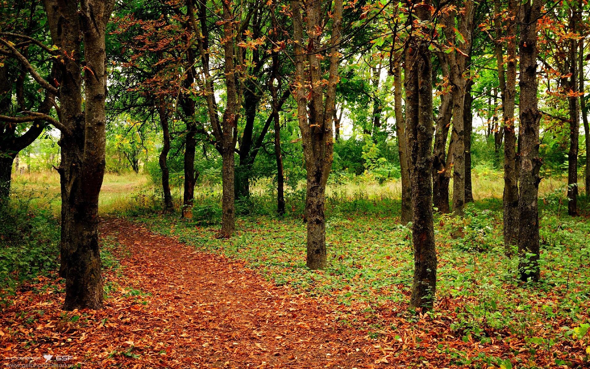 子弹时间，3.2秒，克莱-汤普森和他的永恒一秒