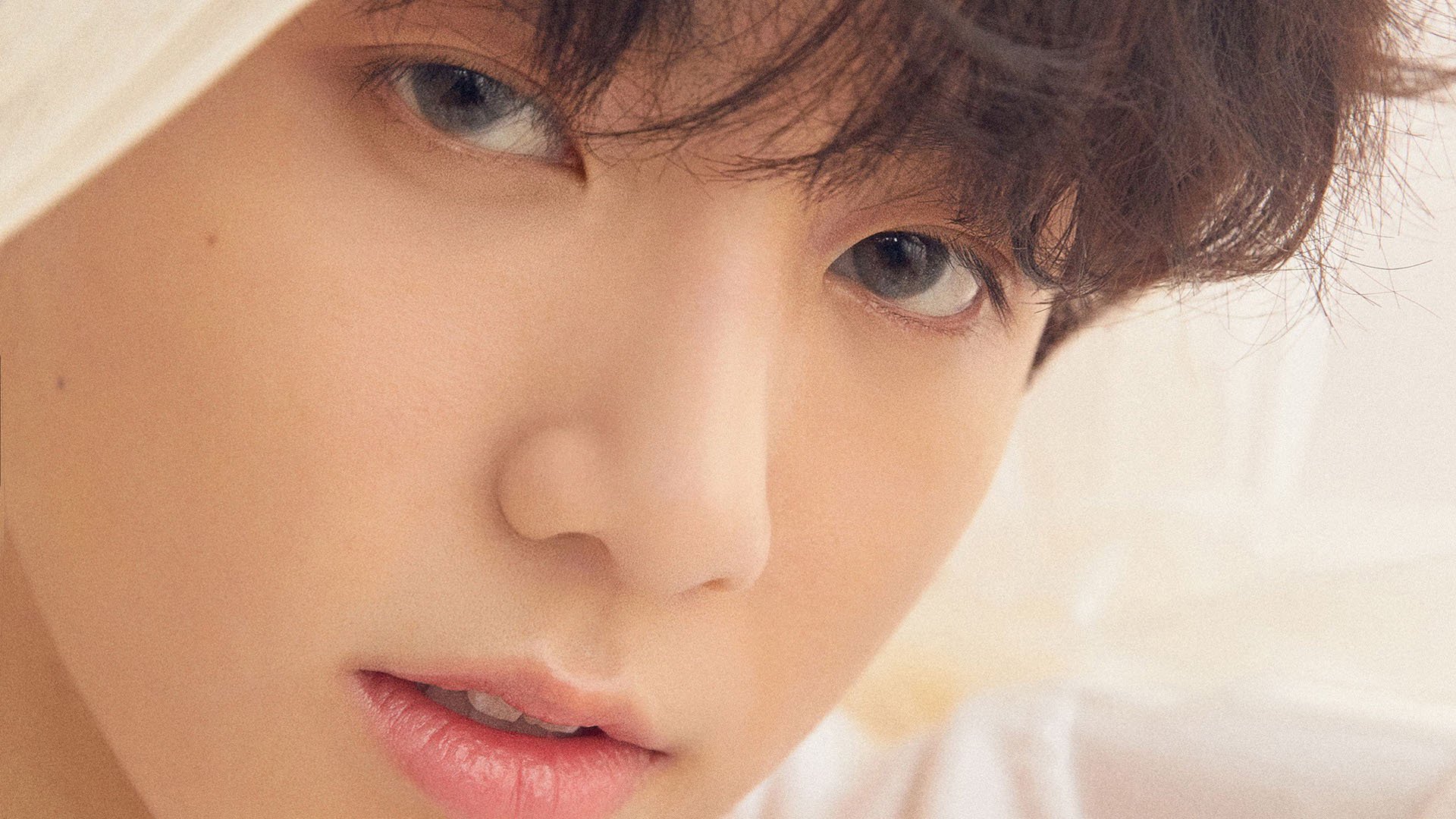 北美冰原上的双城记,当NBA总决赛遇上巴萨红蓝风暴