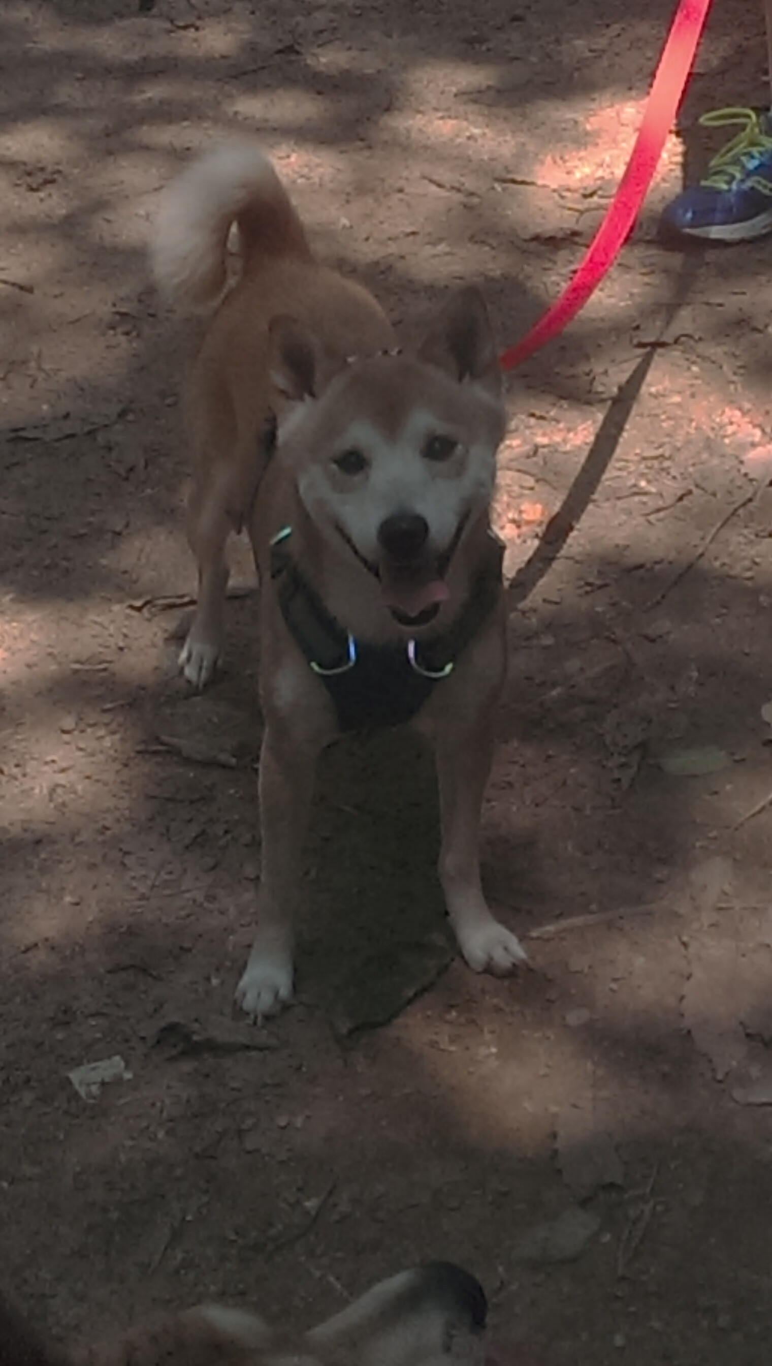 唯一性，当西甲国家德比之夜被17岁少年重新定义