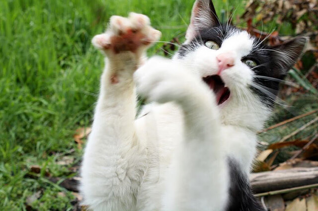 爱游戏下载-时空裂缝中的篮球对决，拉梅洛·鲍尔如何在平行宇宙中征服新疆队