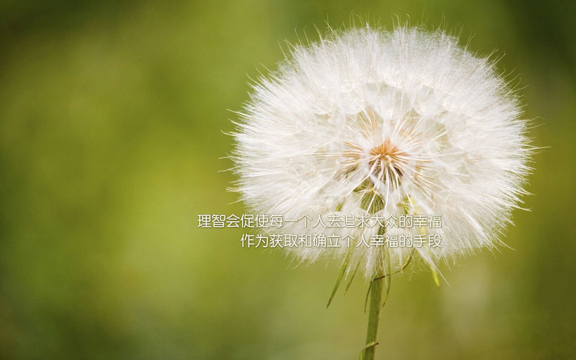 格纳布里绝杀助攻，埃及奇迹般逆转罗马，关键先生铸就经典之战