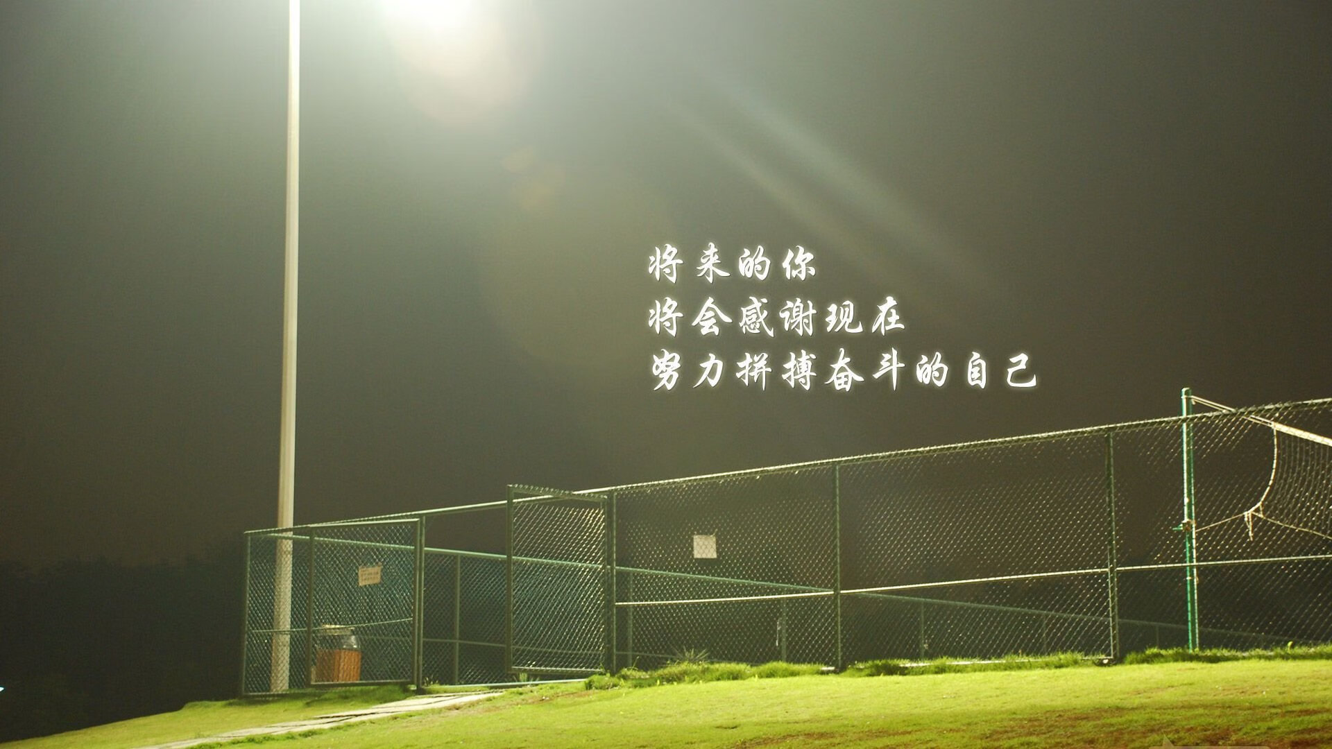撕裂宿命的黄金之翼,加纳爆冷掀翻葡萄牙,费利克斯的独舞与非洲足球的加冕夜